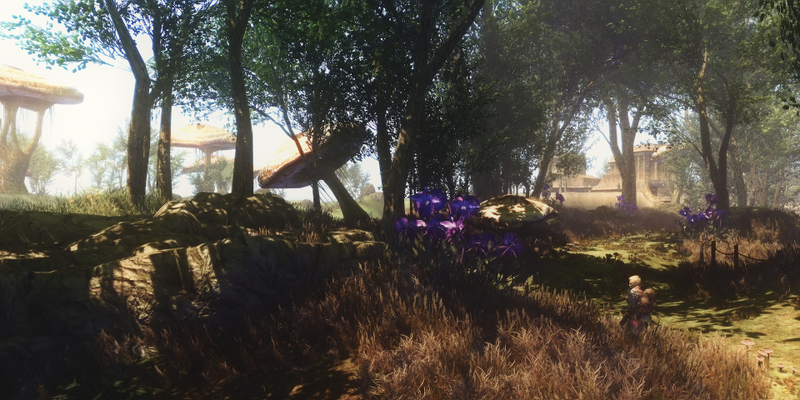 Illustration for article titled High-Res Skywind Looks Like The Morrowind Mod Of My Dreams